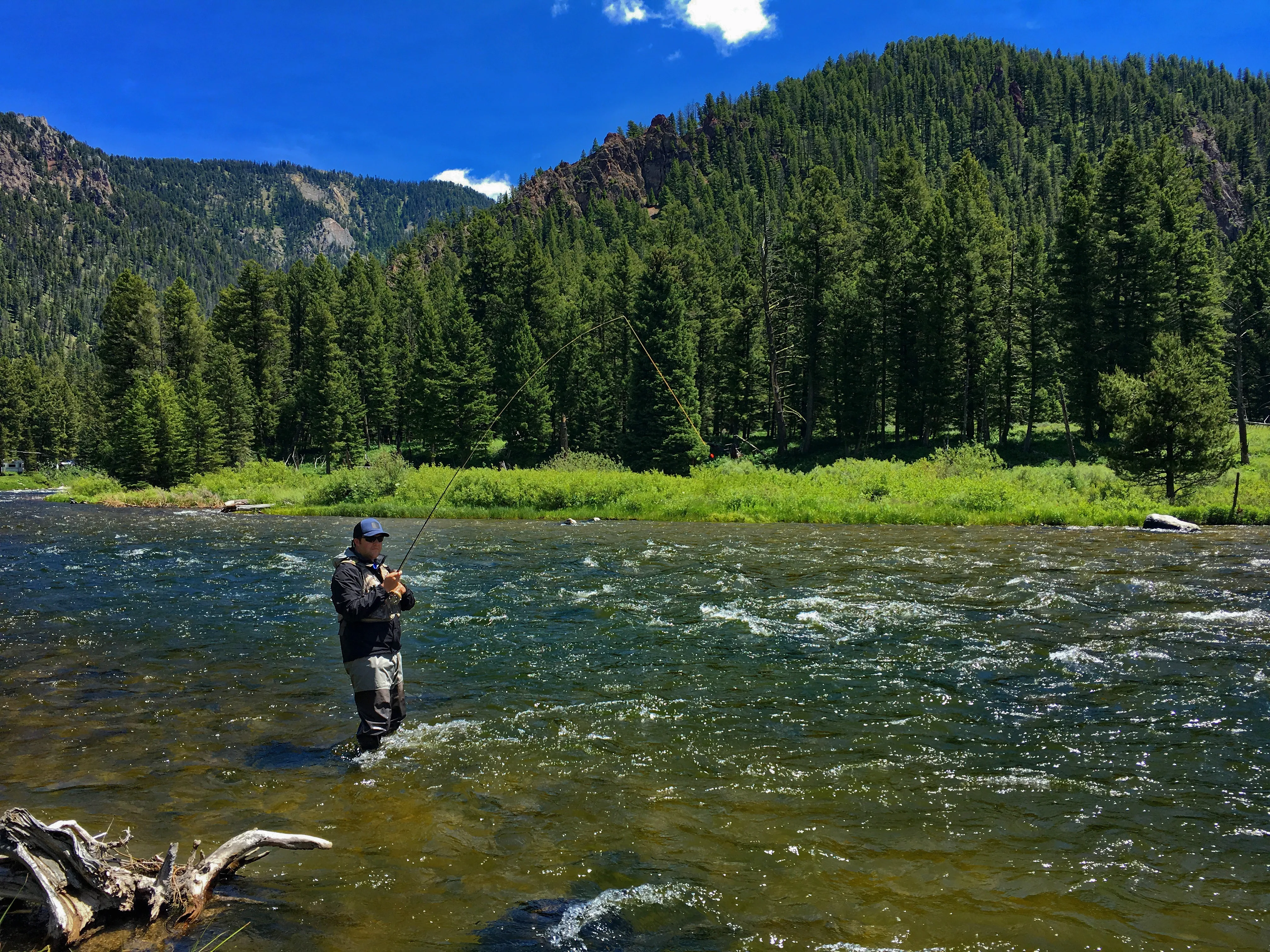 Fly Fish the Madison River (Hebgen Lake to Earthquake Lake)