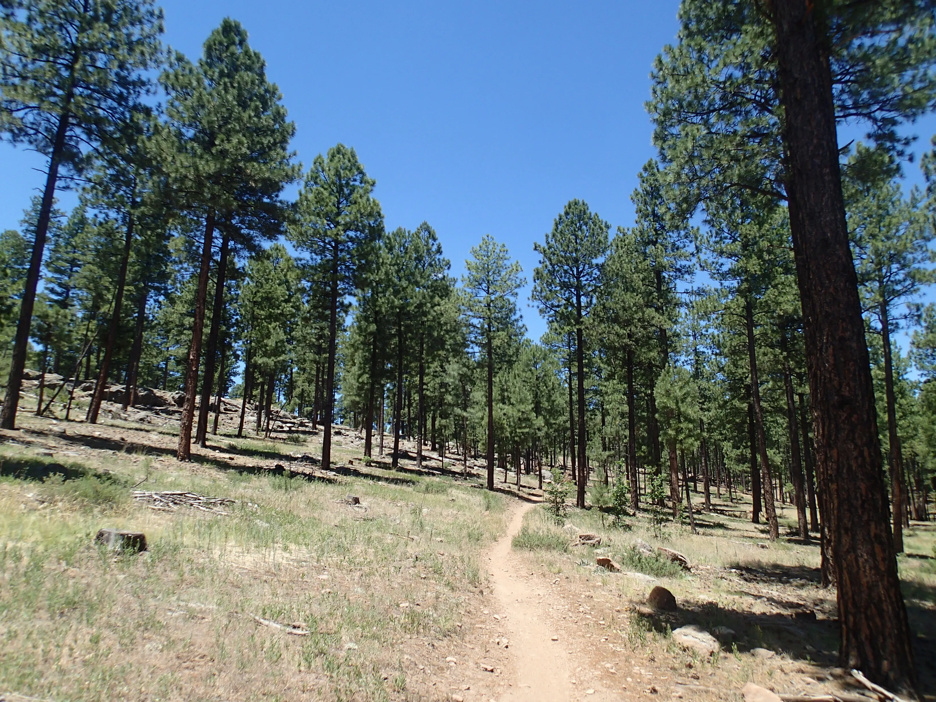 Hike the Soldier's Trail