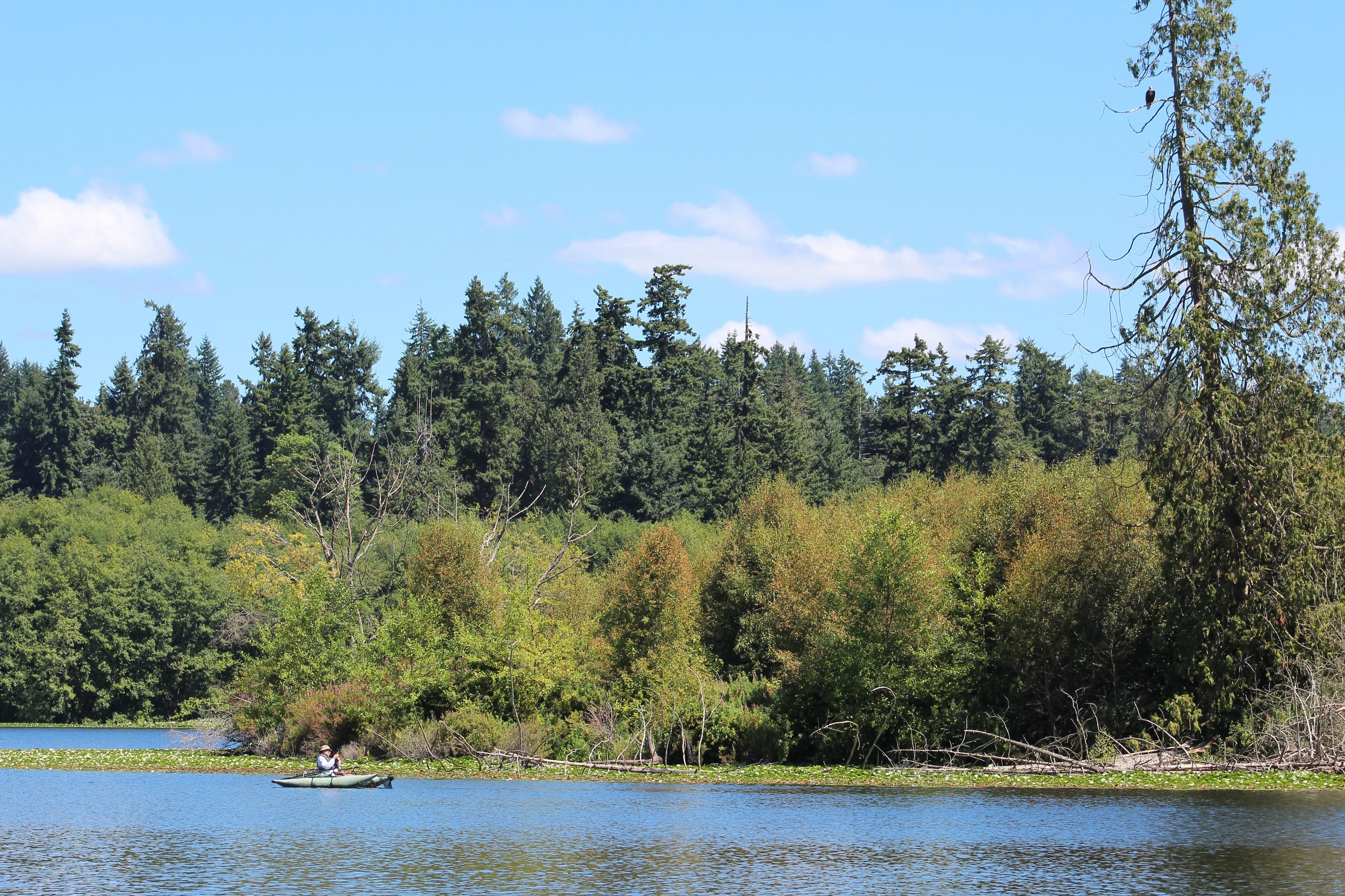 Kayak Lake Ballinger