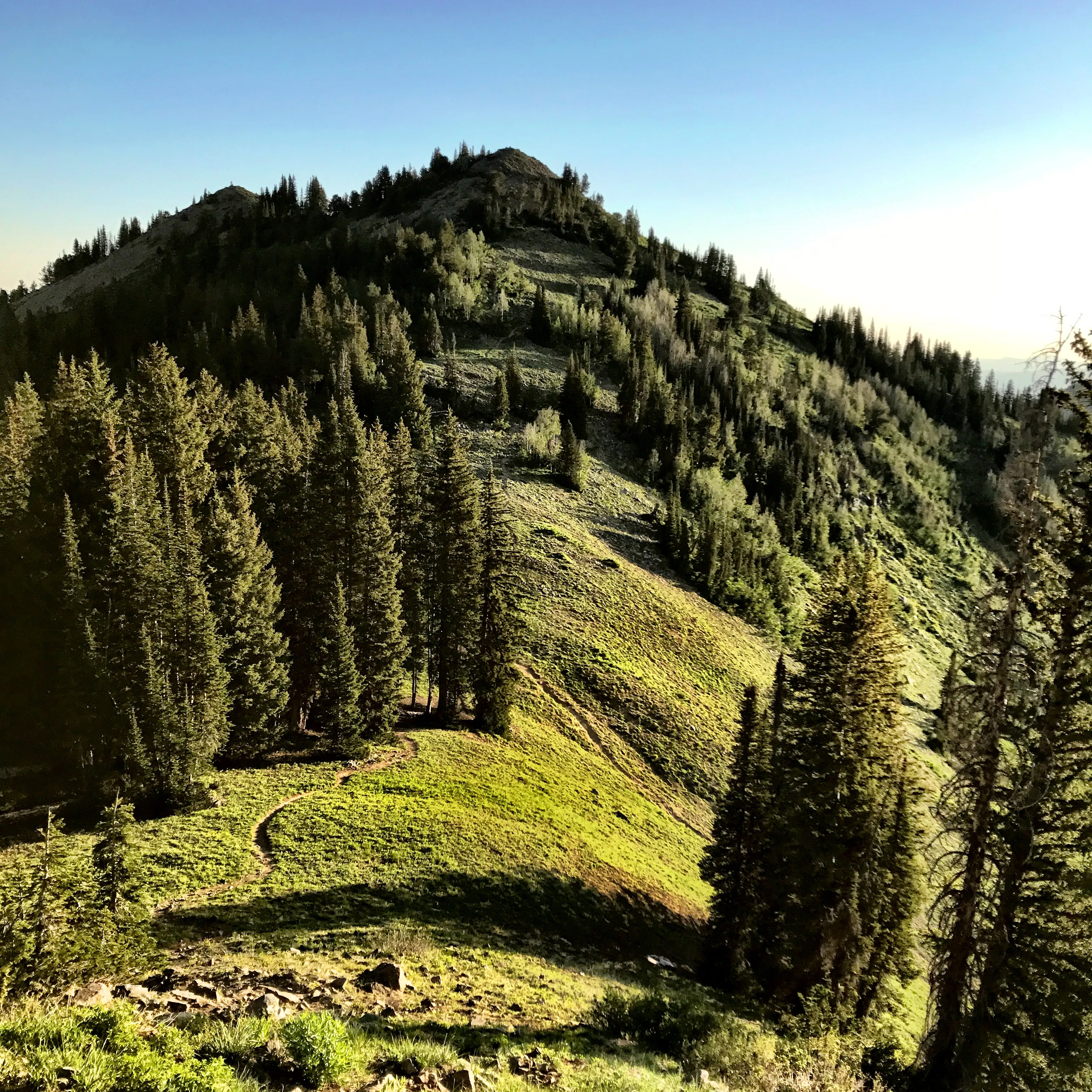 Hike Clayton Peak in Utah's Wasatch Mountains
