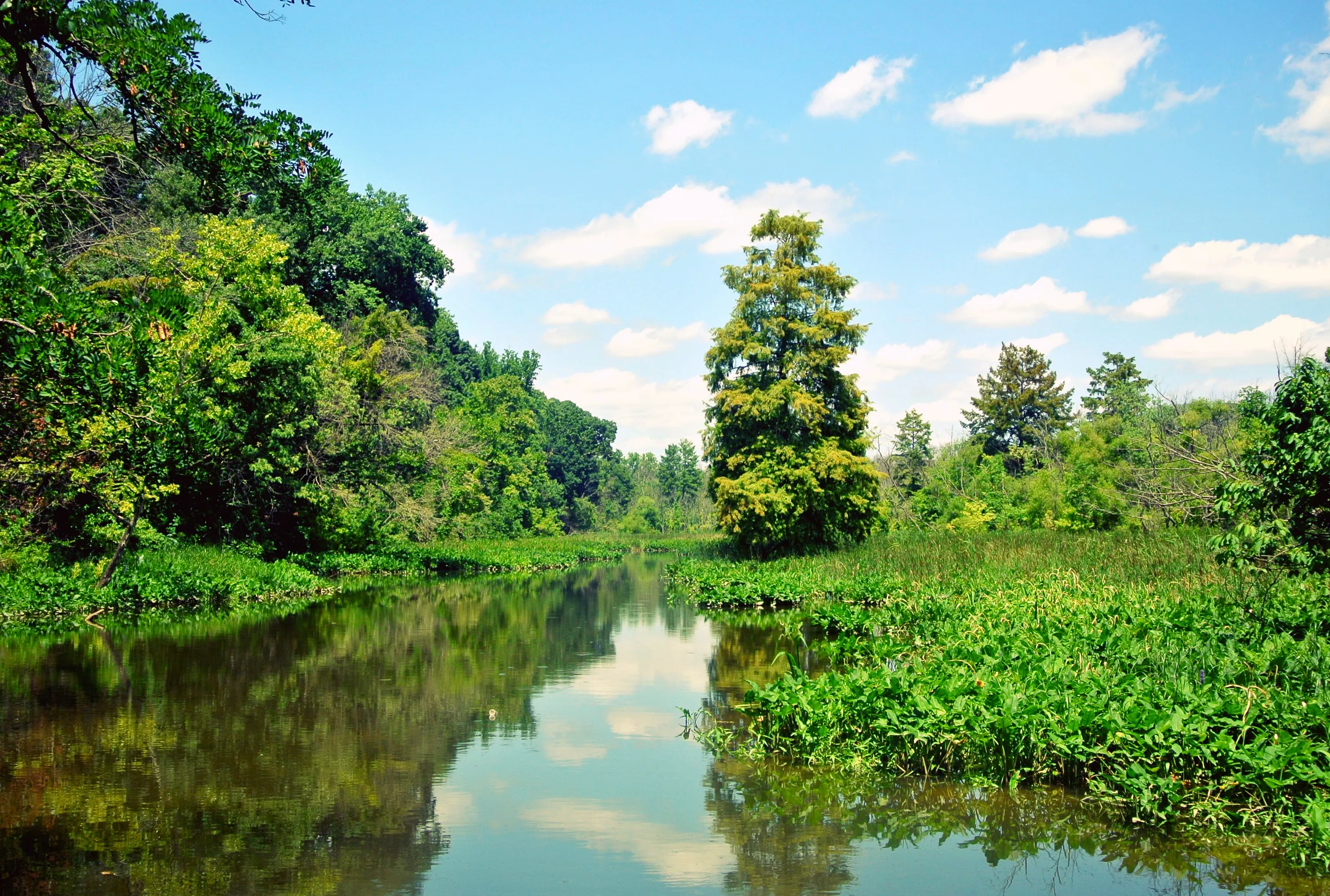 Theodore Roosevelt Island