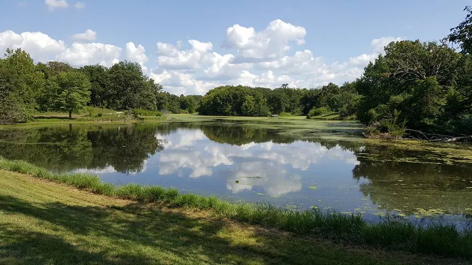 Hike the McFarland Park Loop