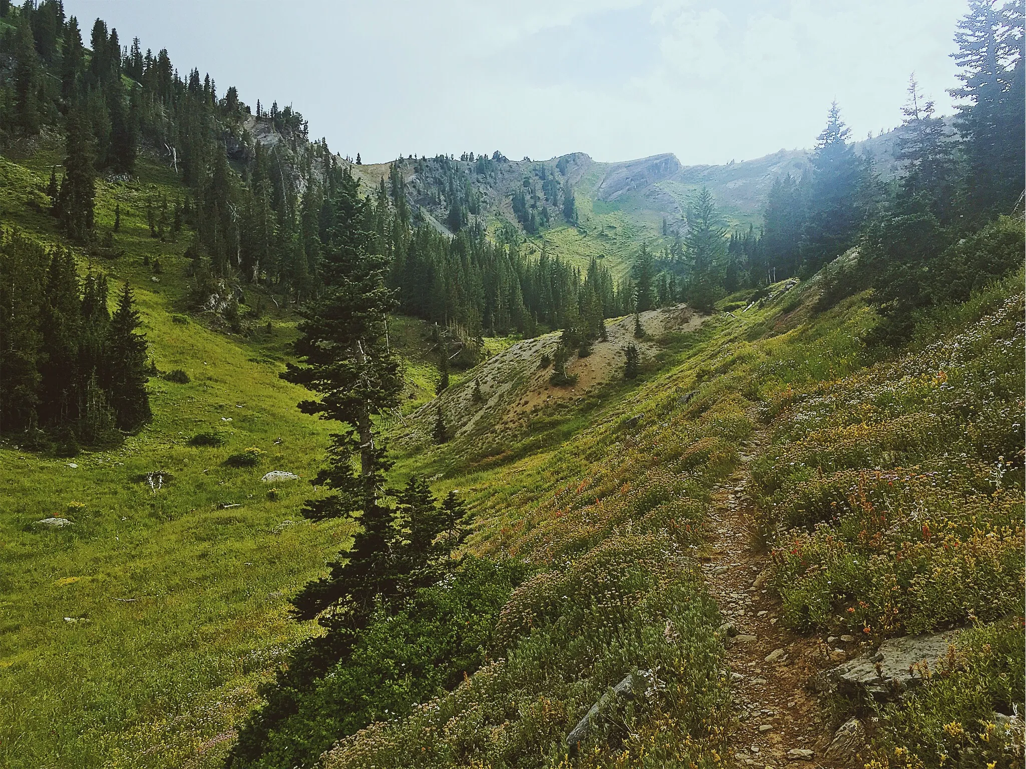 Hike Days Fork