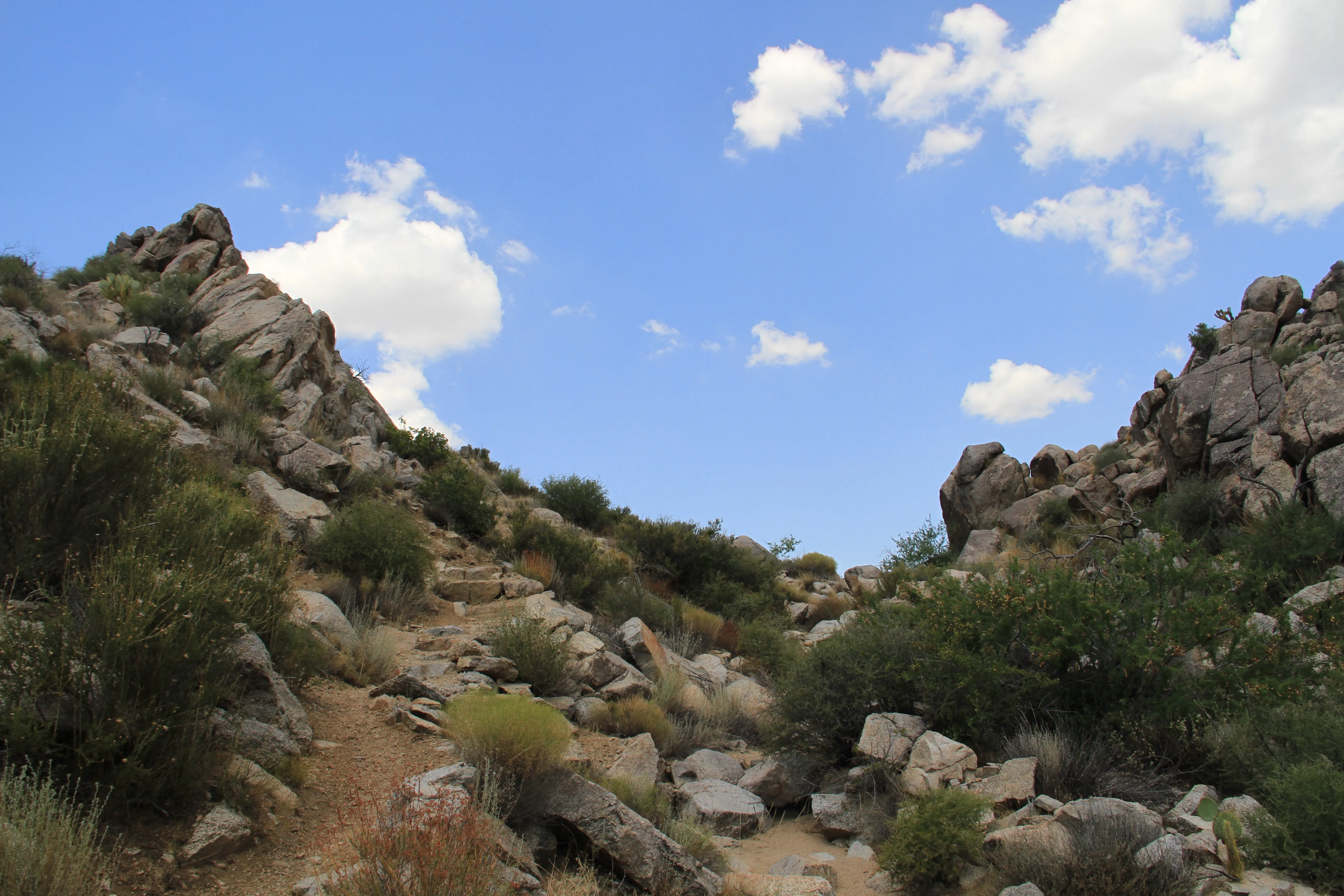 Rock Spring Loop Trail