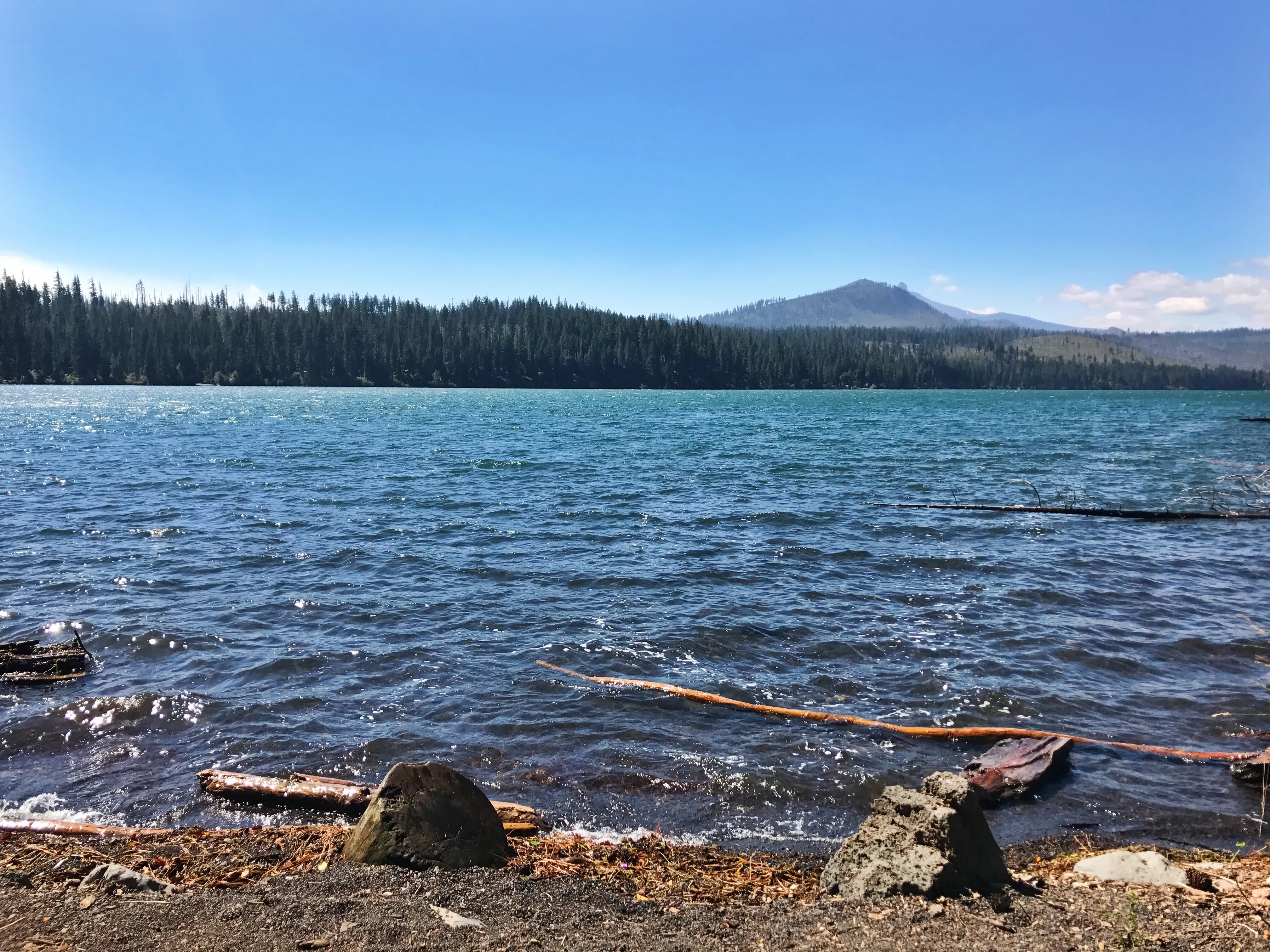 Suttle Lake Loop