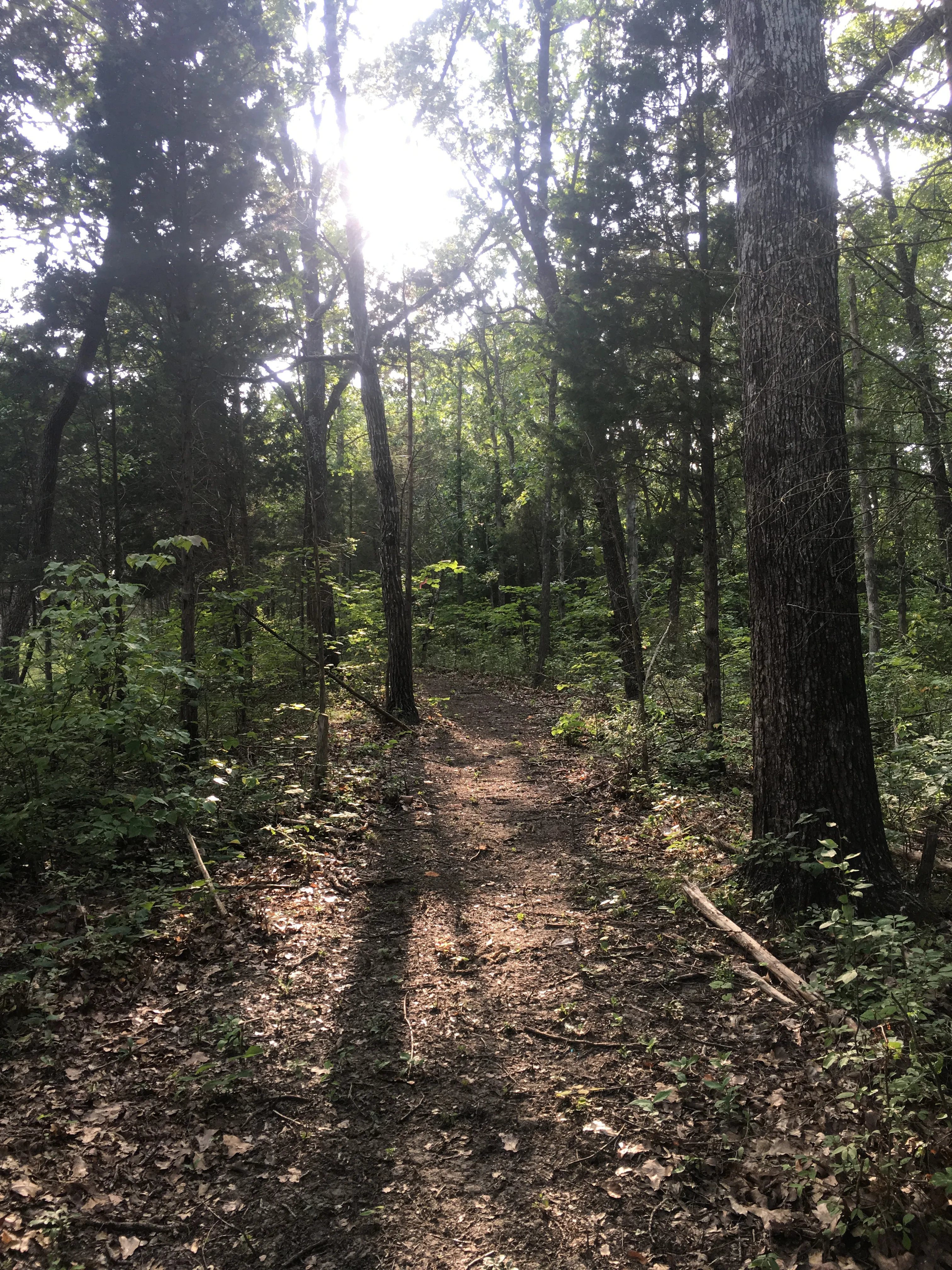 Hike the Joyce Bender Trail in the Crooked Creek Nature Preserve