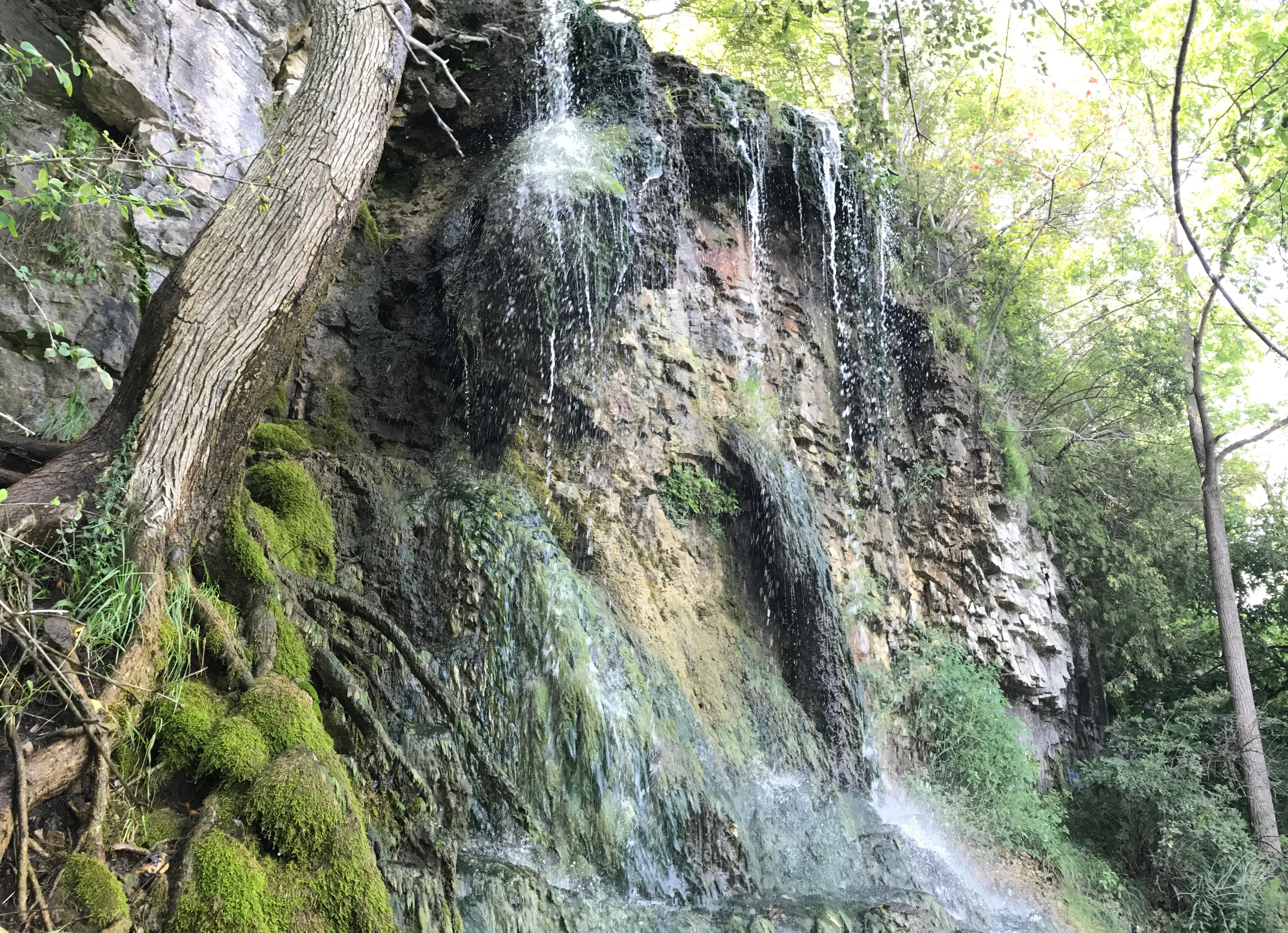 Hike the Walter Bean Grand River Trail (Section 1-2)