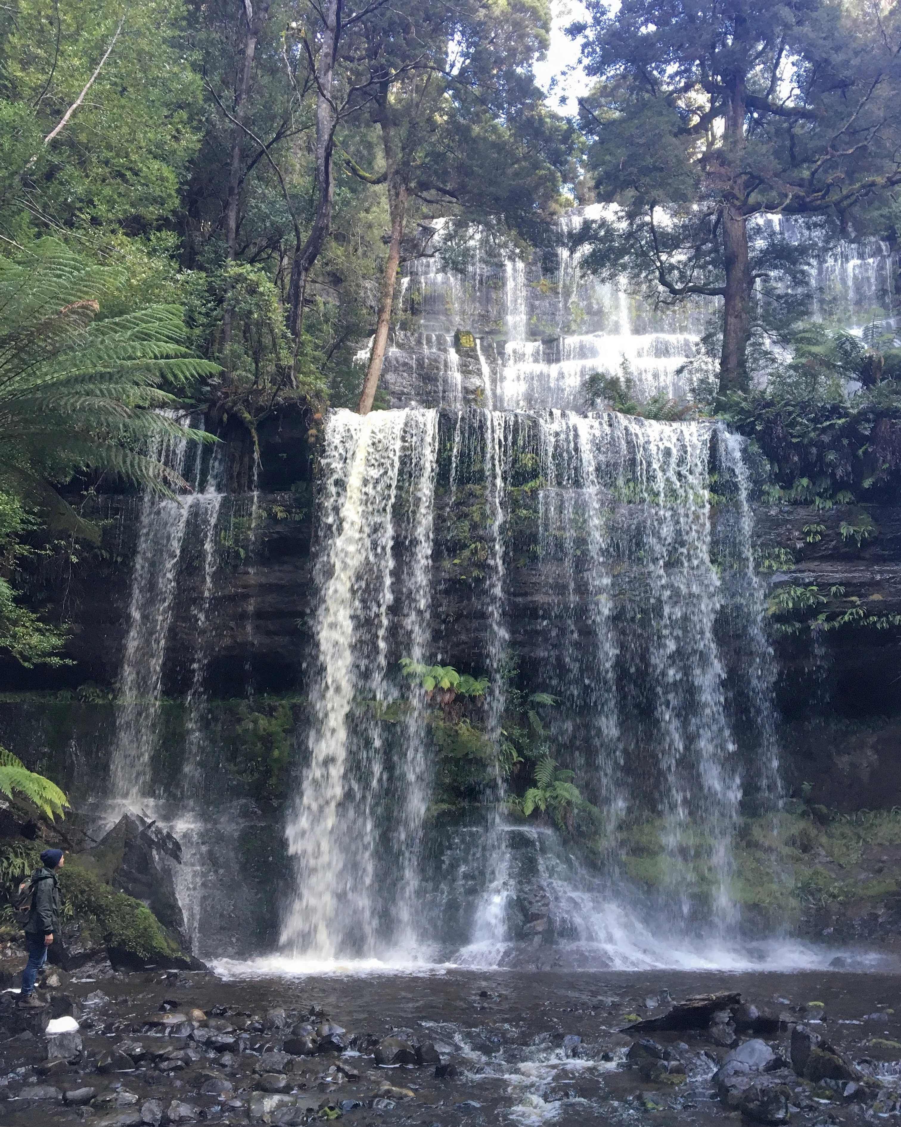 Hike in the Tasmanian Wilderness at Russell Falls