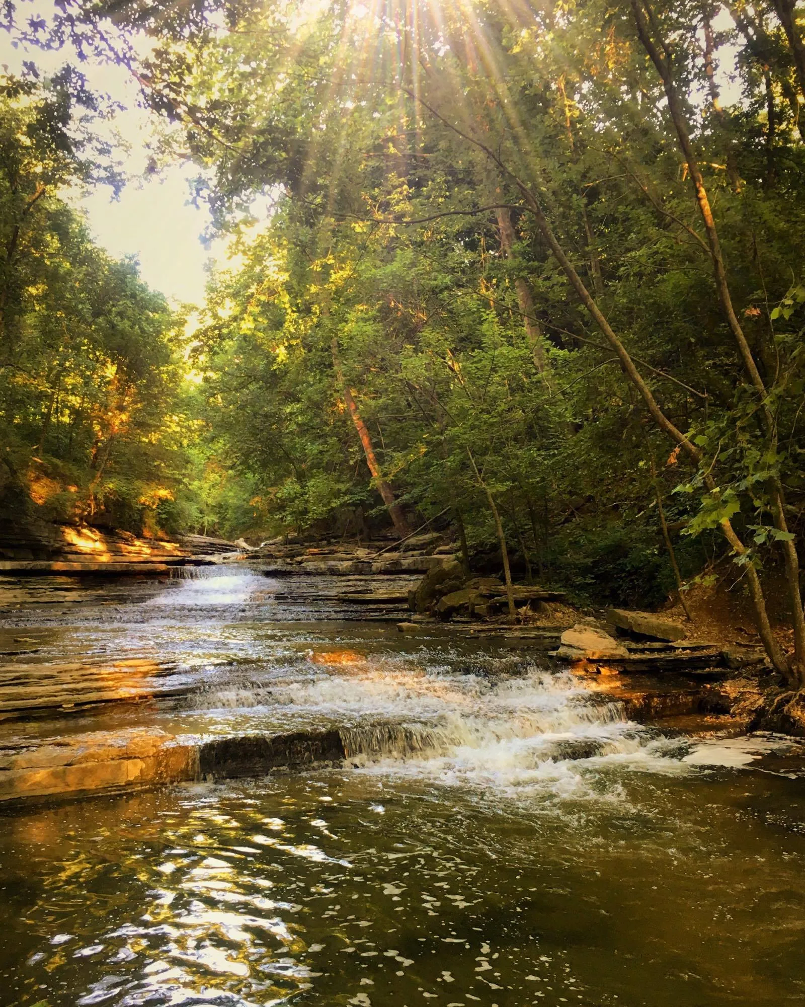 Tanyard Creek Nature Trail 