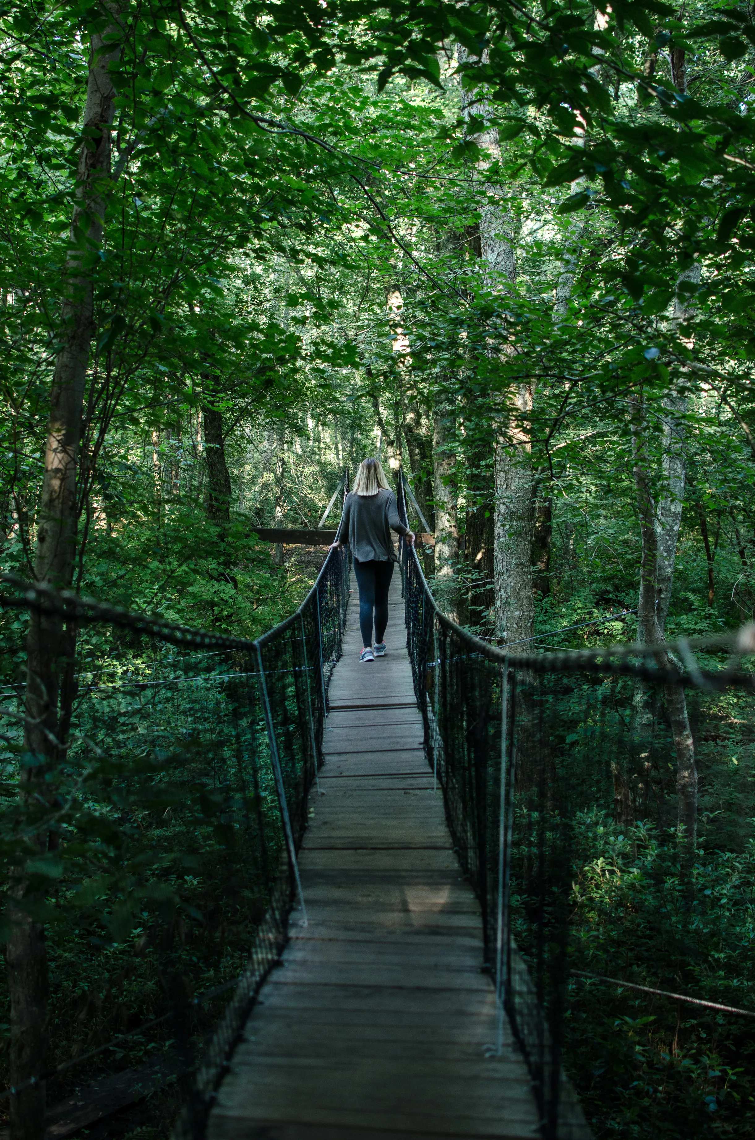 Hike Frank Knowles–Little River Reserve Trail