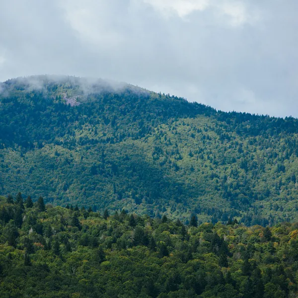 Exploring the Blue Ridge Parkway on the Way to Asheville, NC