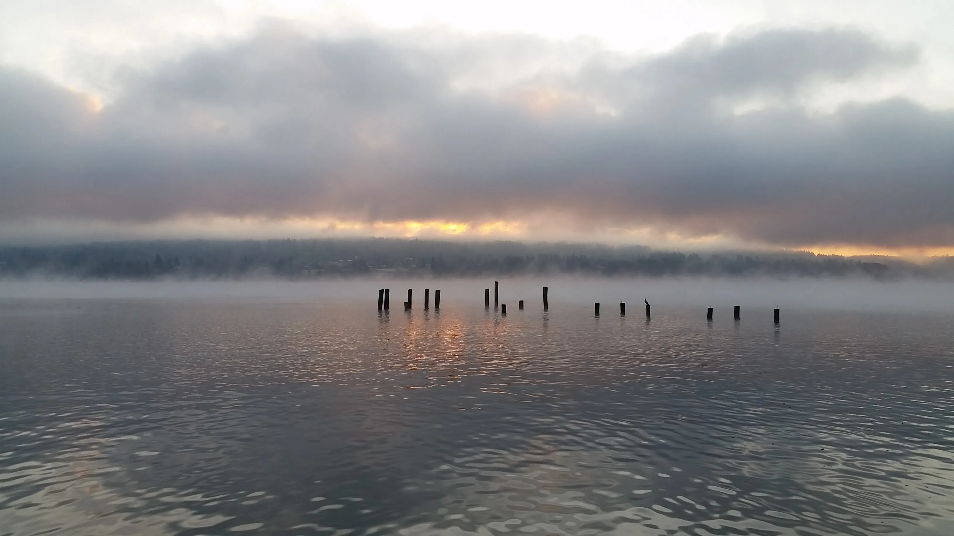 Crabbing Puget Sound