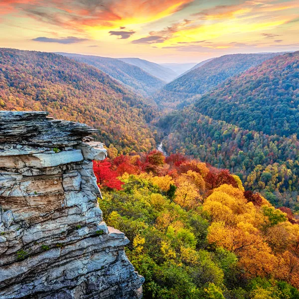 7 Essential Fall Photography Tips