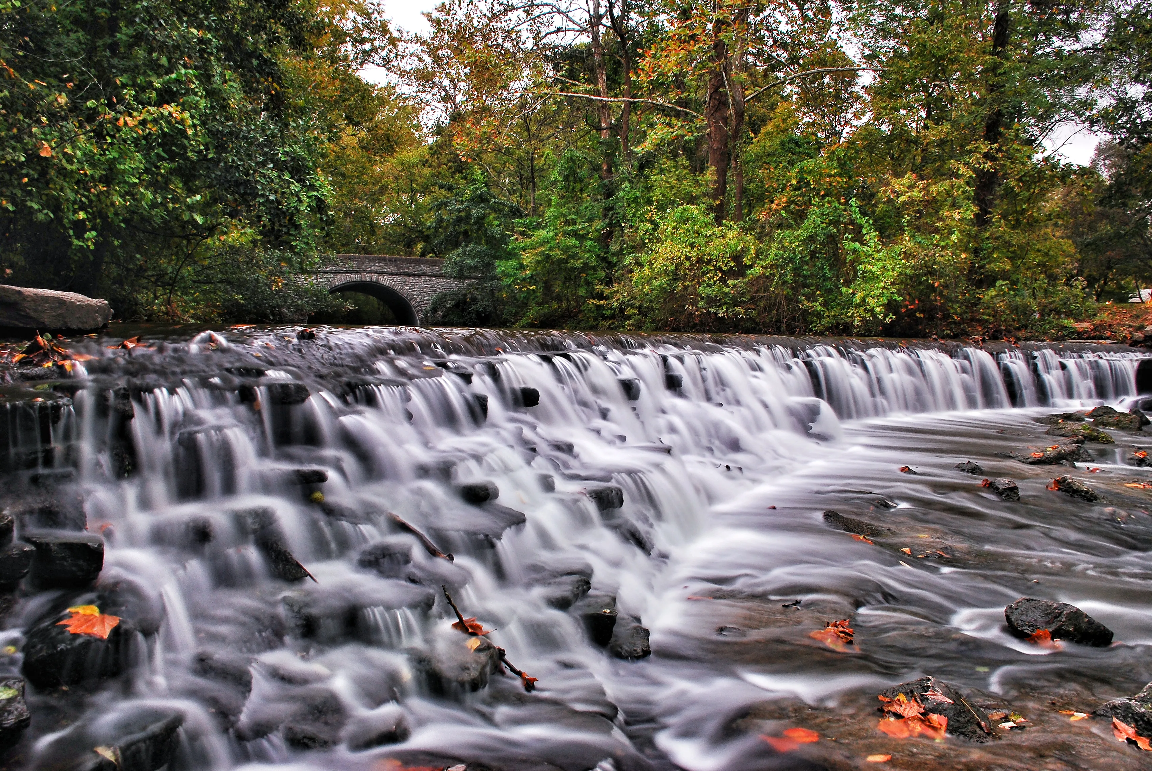 Hike the Sharon Woods Gorge Trail