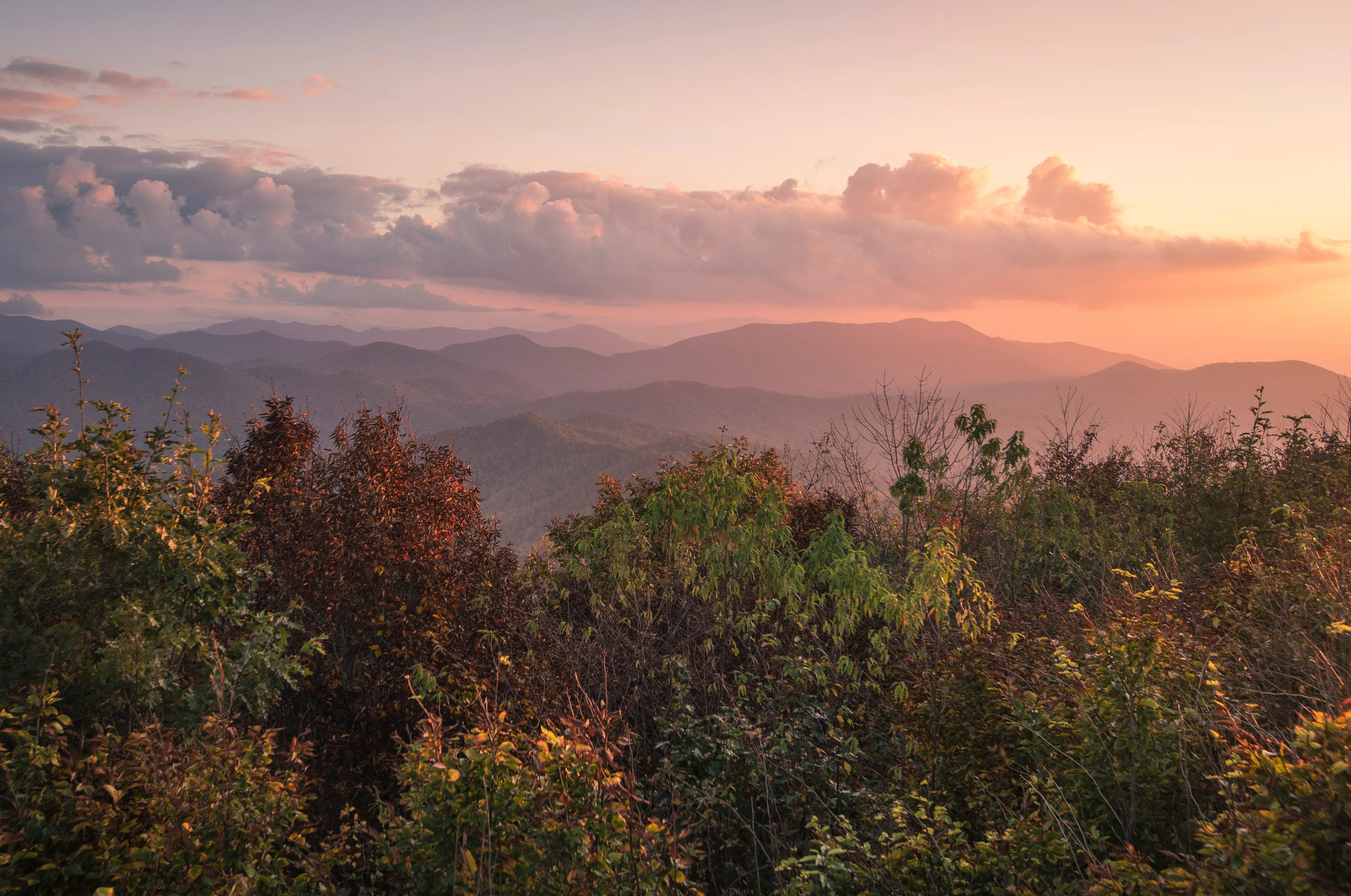 Siler Bald from Wayah Gap