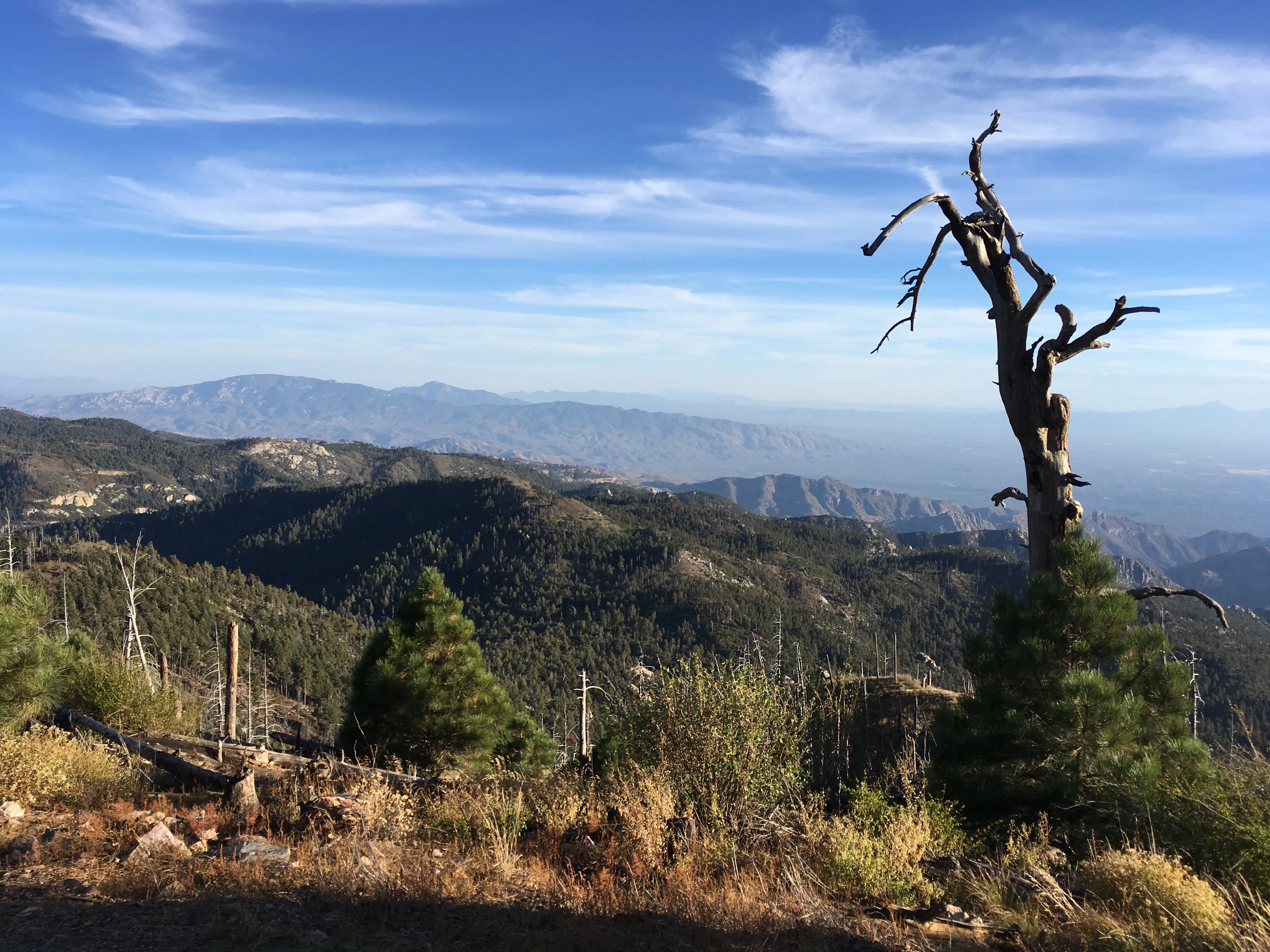Hike Mint Springs Trail