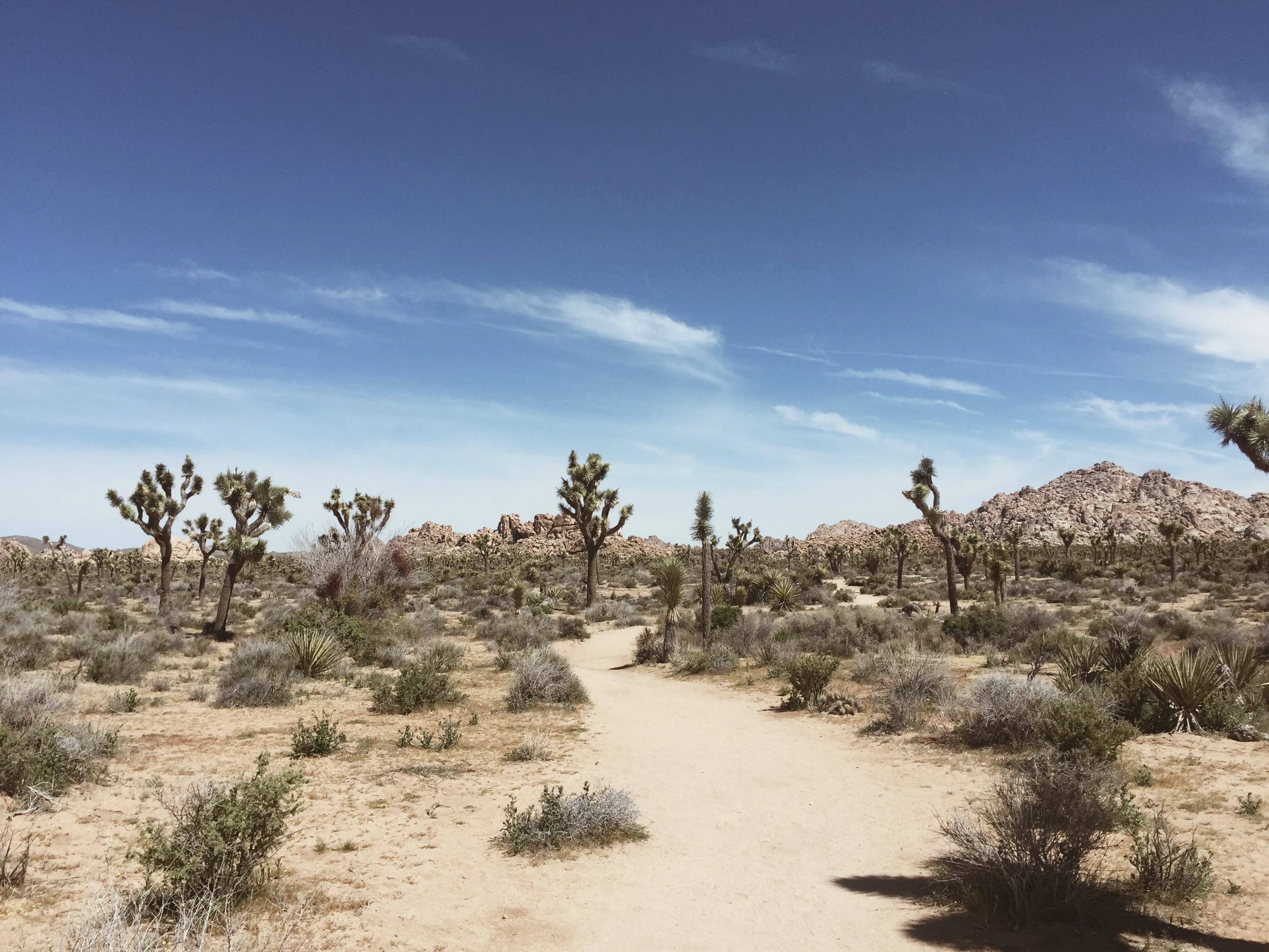 Willow Hole Trail