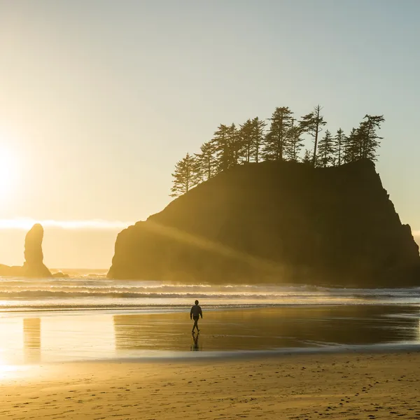 10 Photos to Inspire You to Explore Olympic National Park 