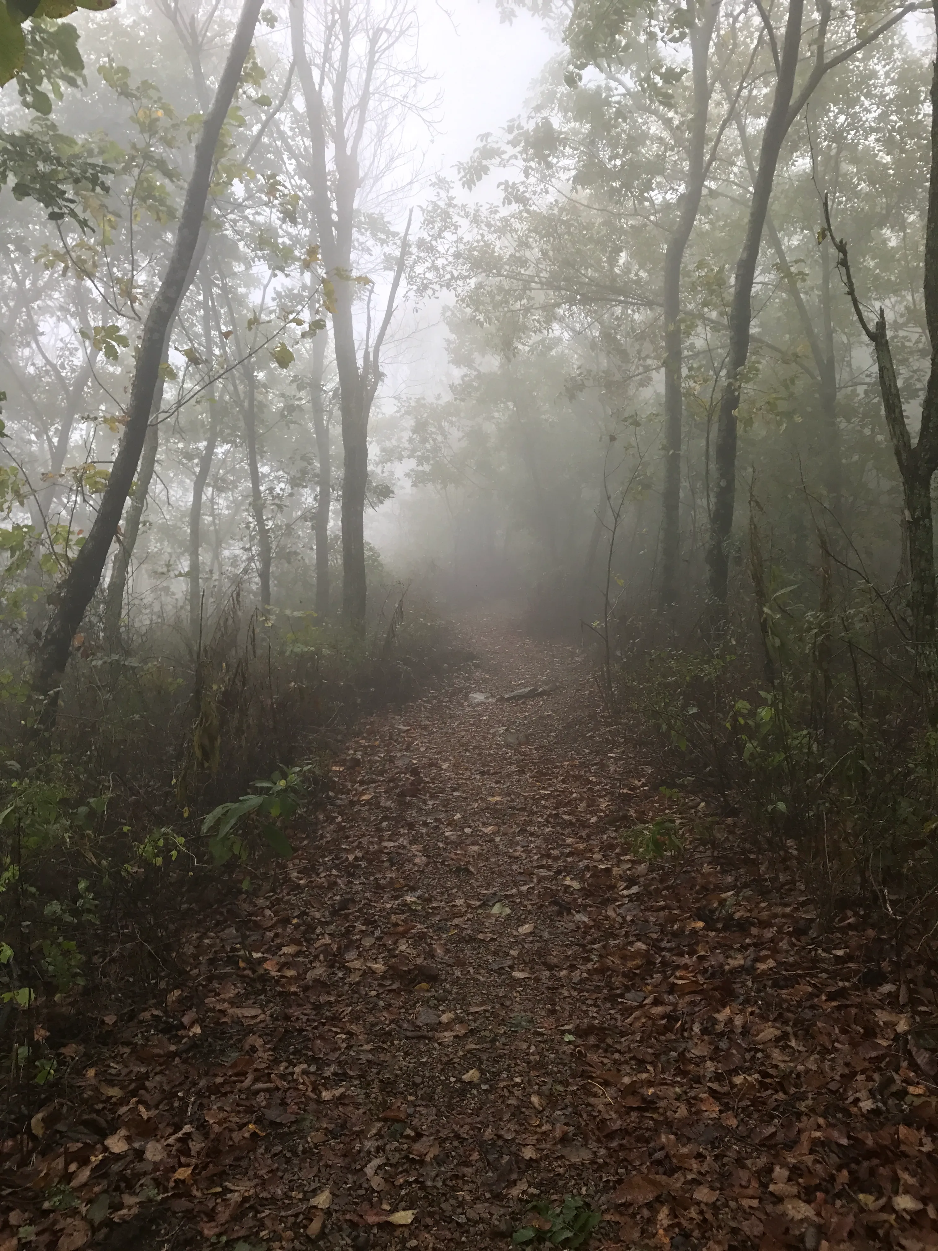 Lovers' Leap Trail