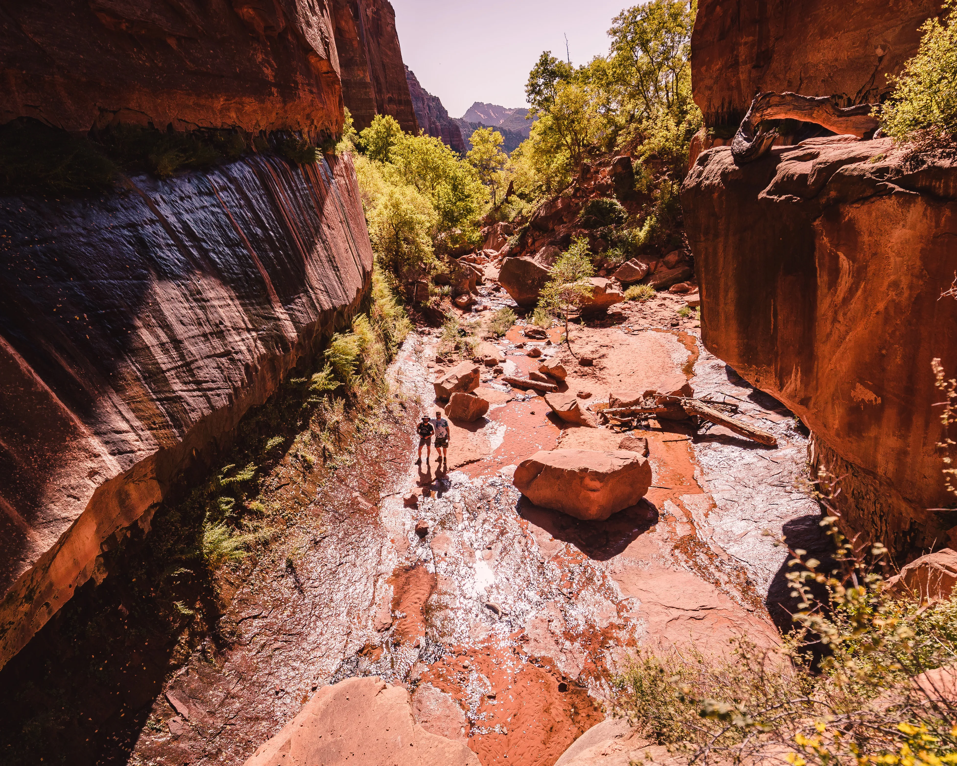 Water Canyon Trail in the Canaan Mountain Wilderness