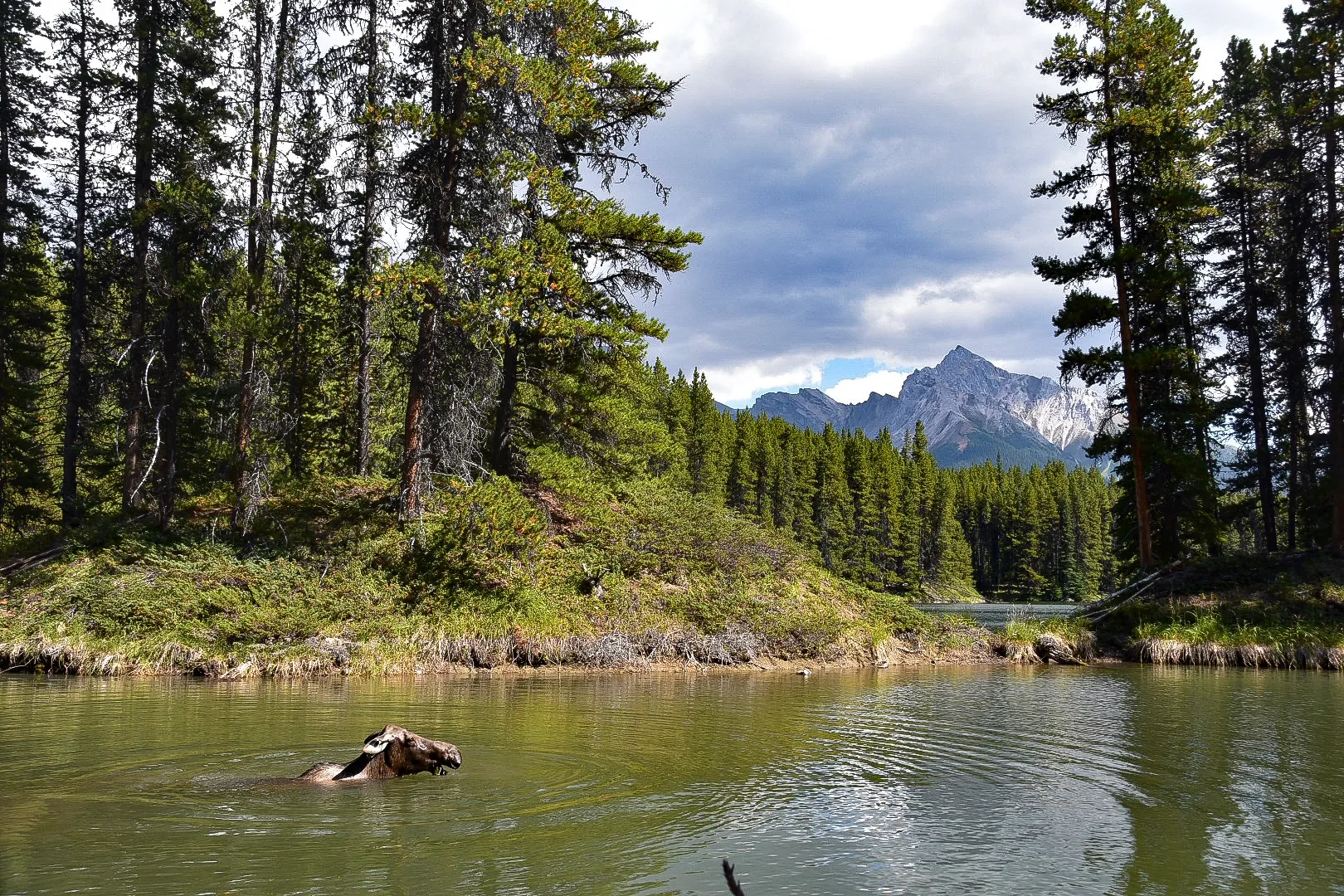 Hike the Moose Lake Loop
