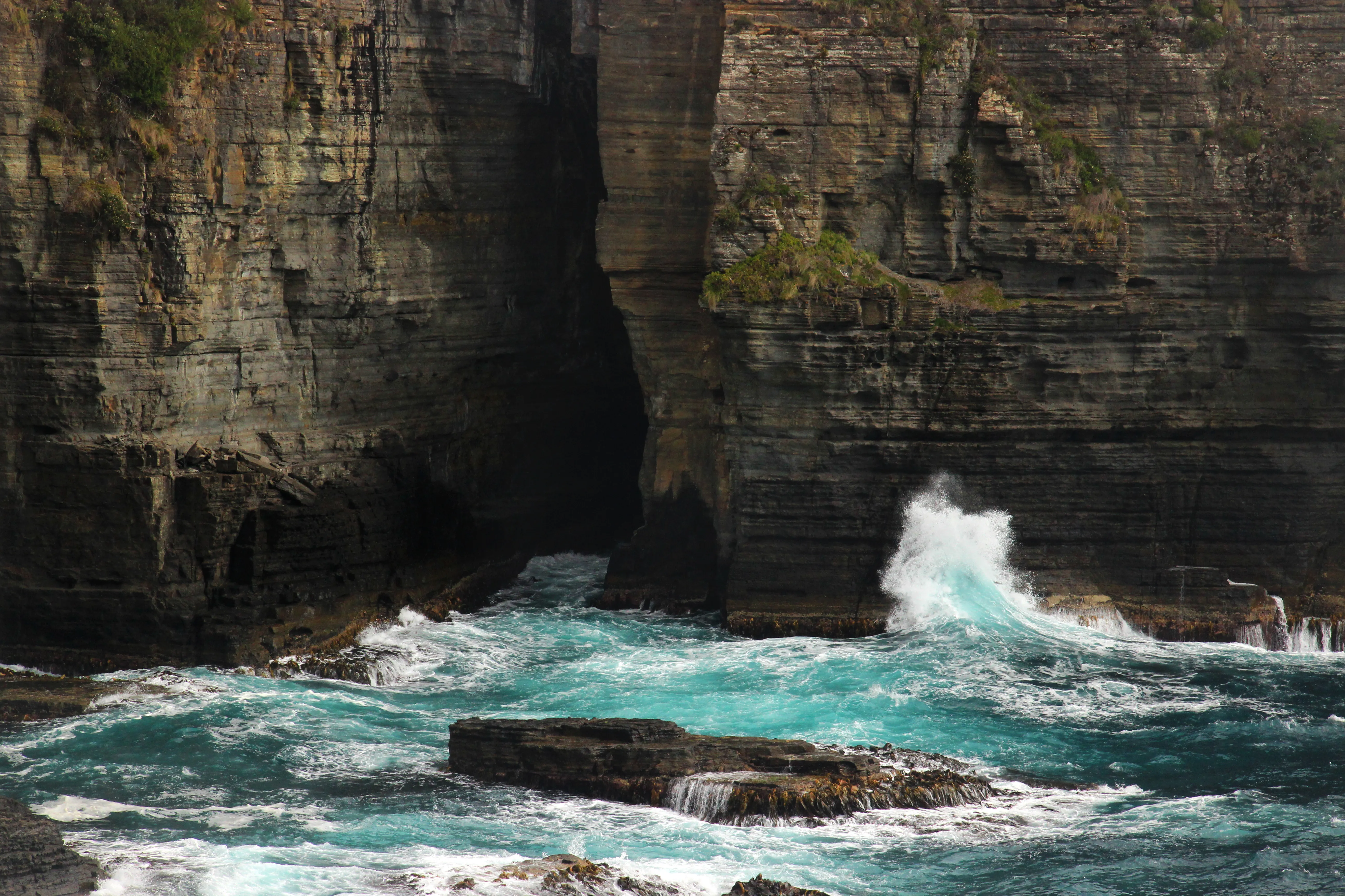 Hike Tasman National Park to Fortescue Bay via Tasman Trail