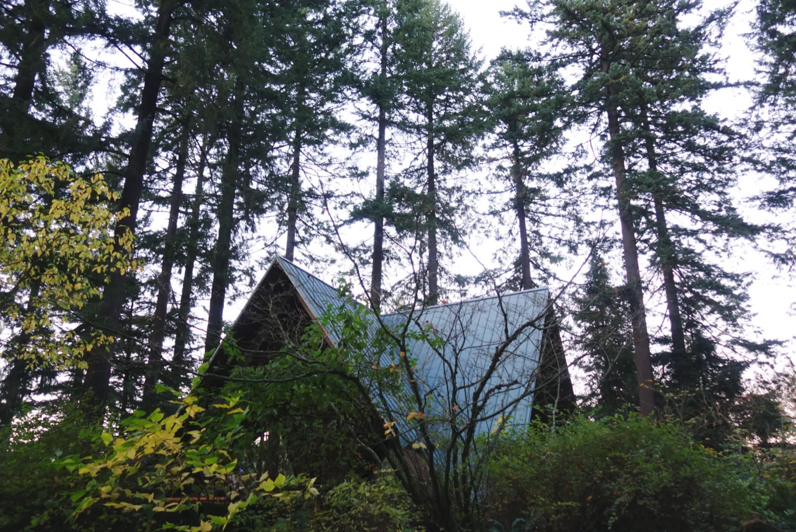 Hoyt Arboretum