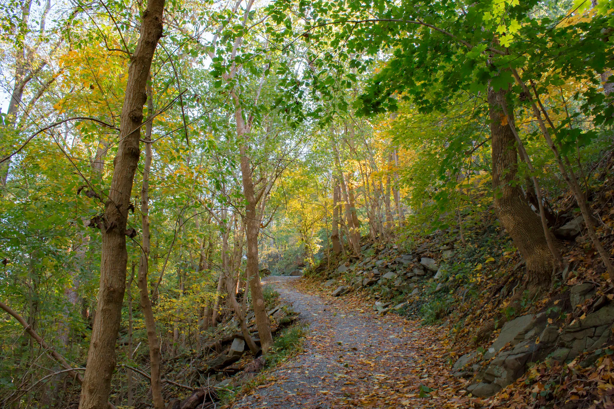 Potomac Wayside Park