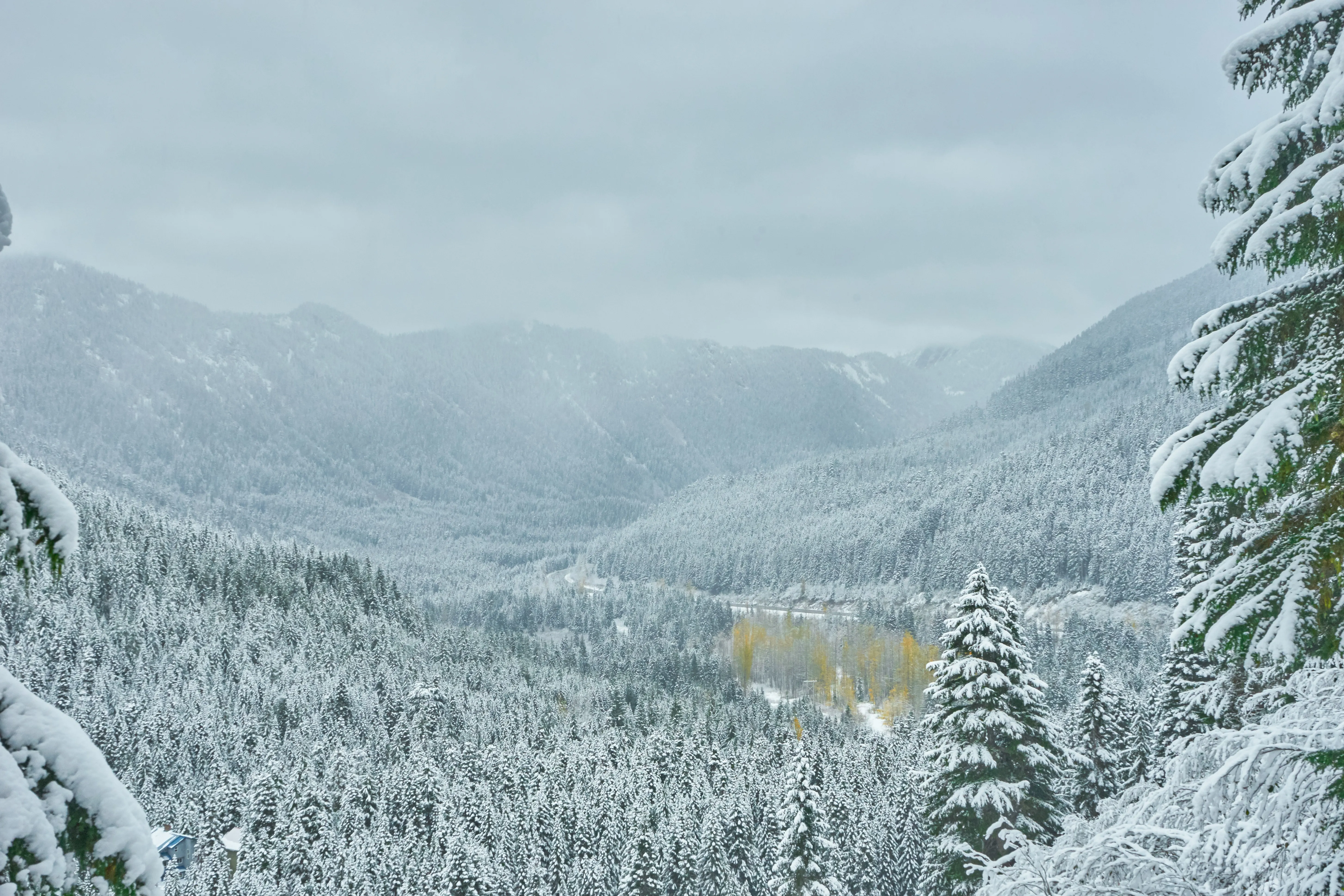 Snowshoe Lake Valhalla
