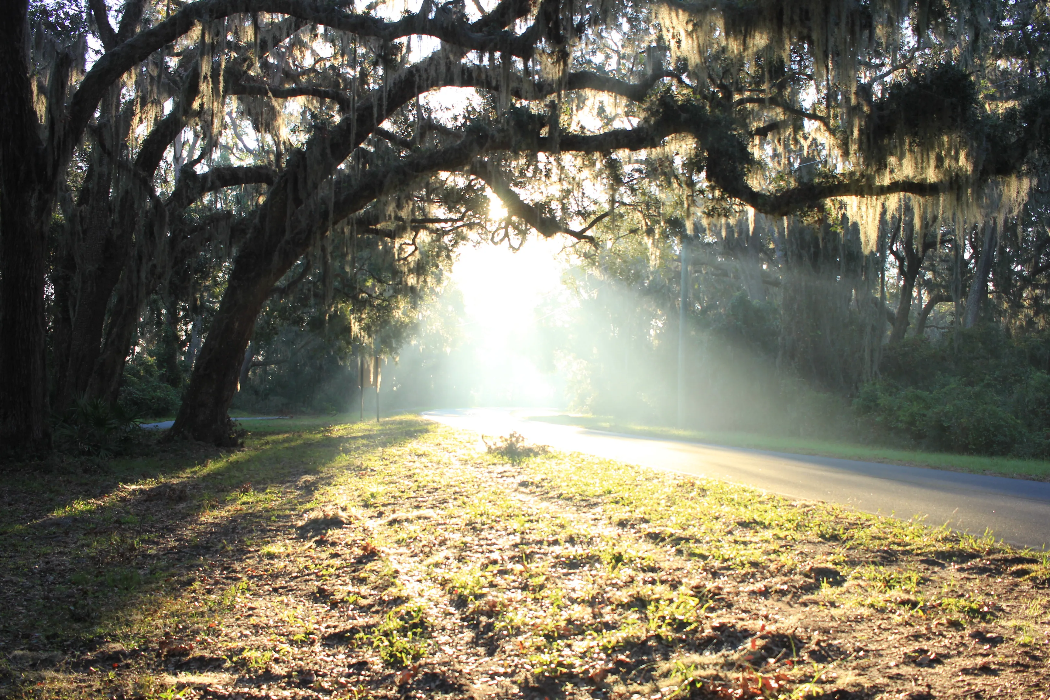 Camp on Jekyll Island