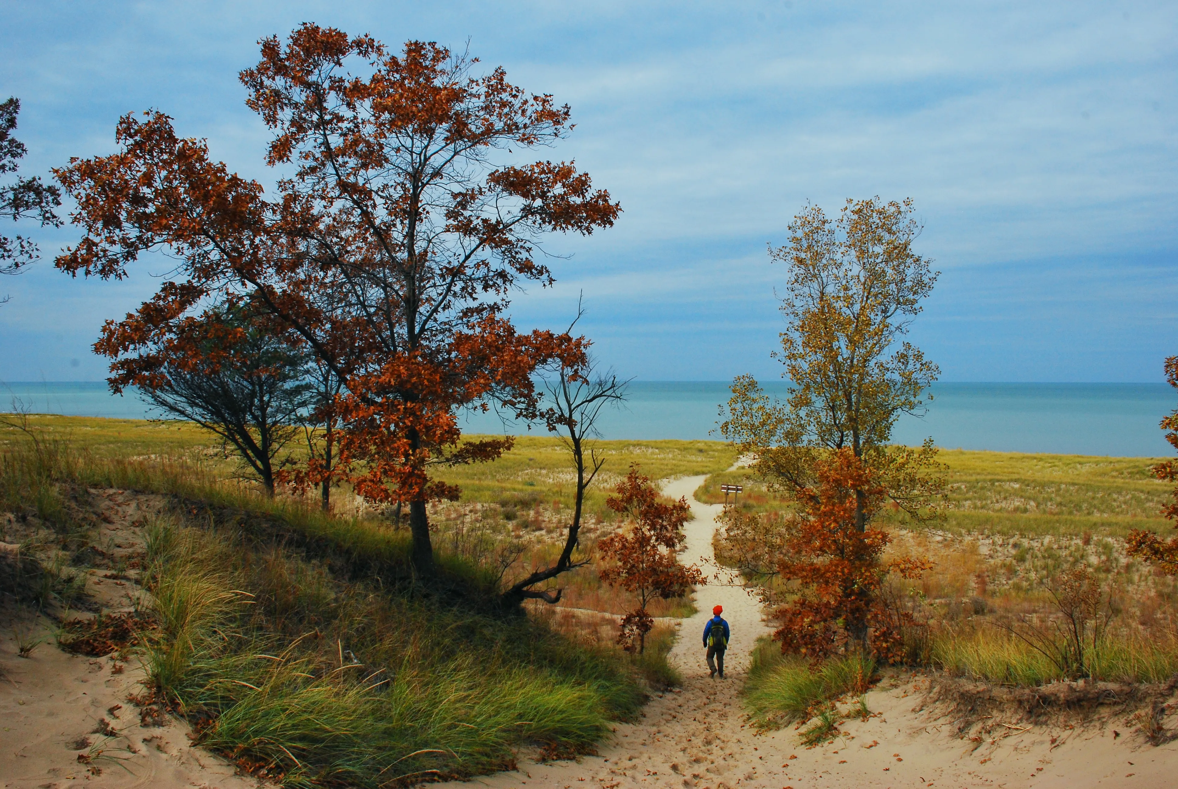 Hike the Cowles Bog Trail, Indiana Dunes National Lakeshore