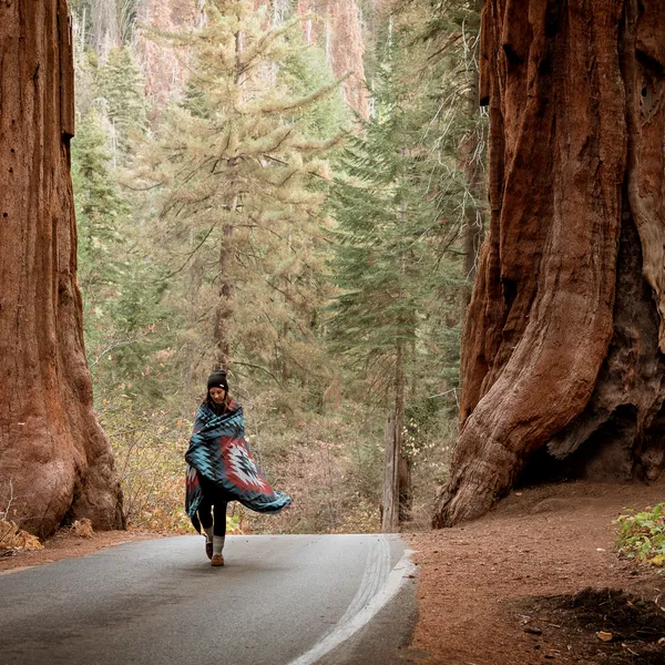 A Weekend Exploring Sequoia and King's Canyon National Parks