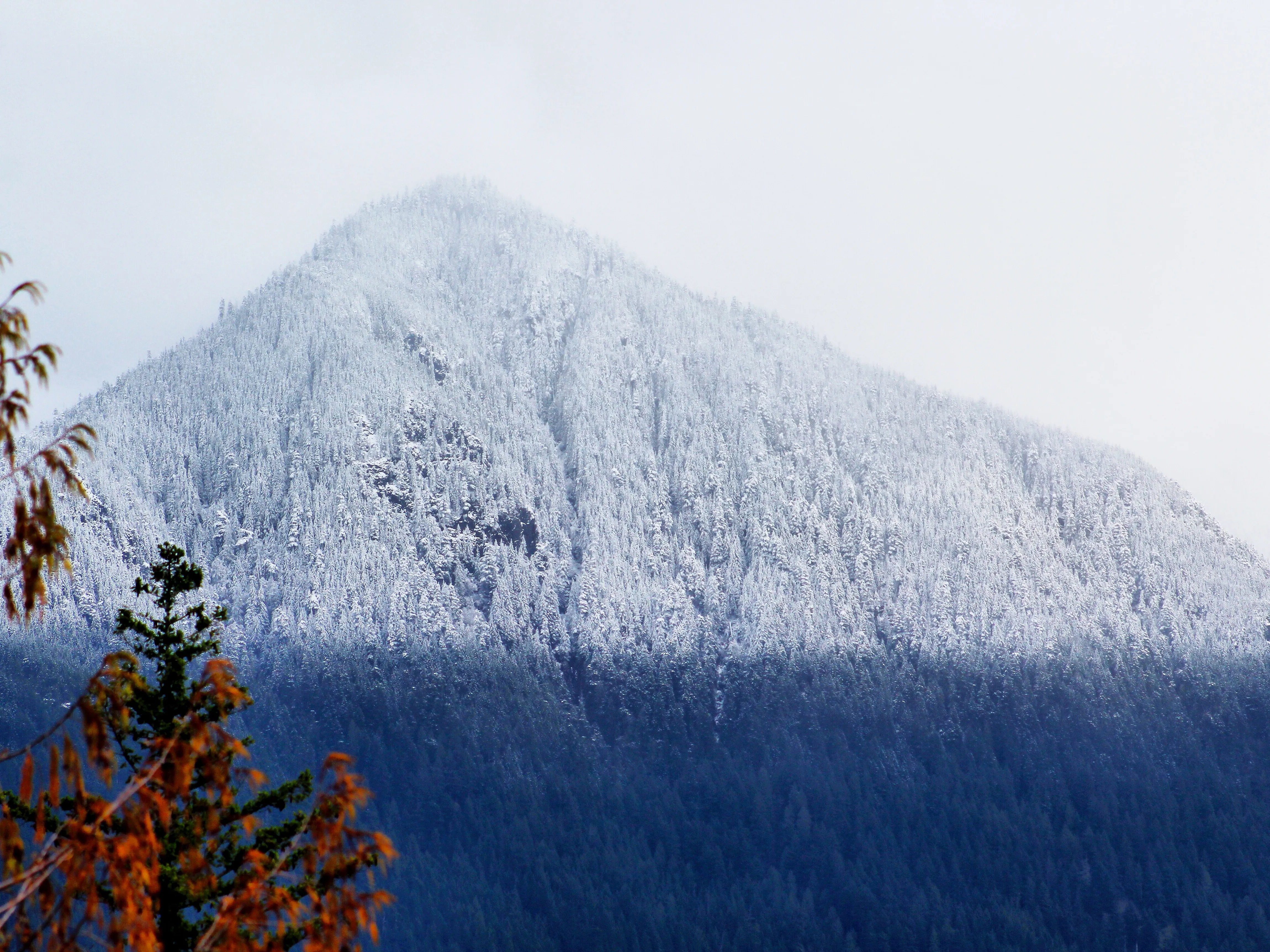 Heybrook Ridge 