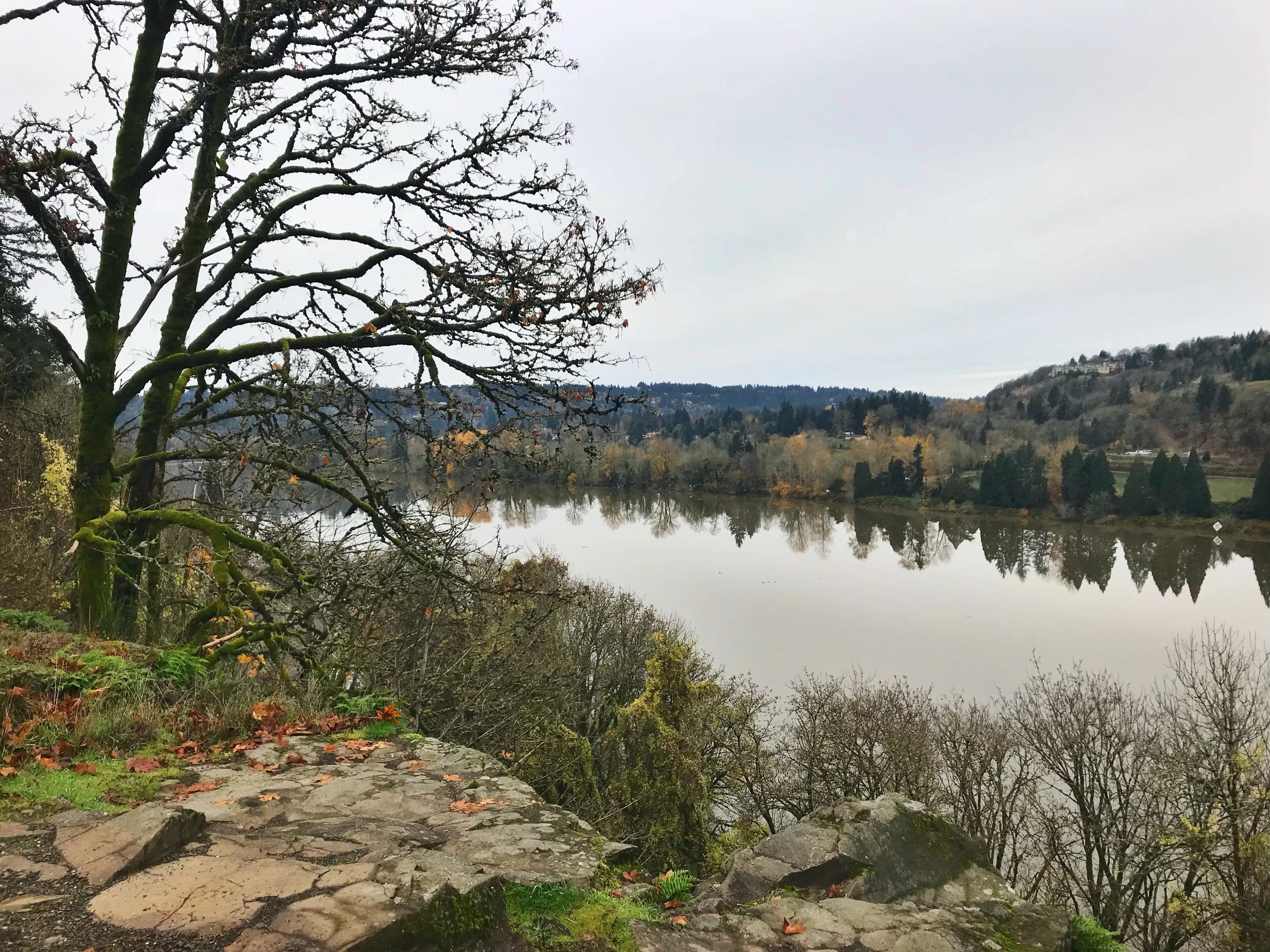Walk the Canemah Bluff Loop