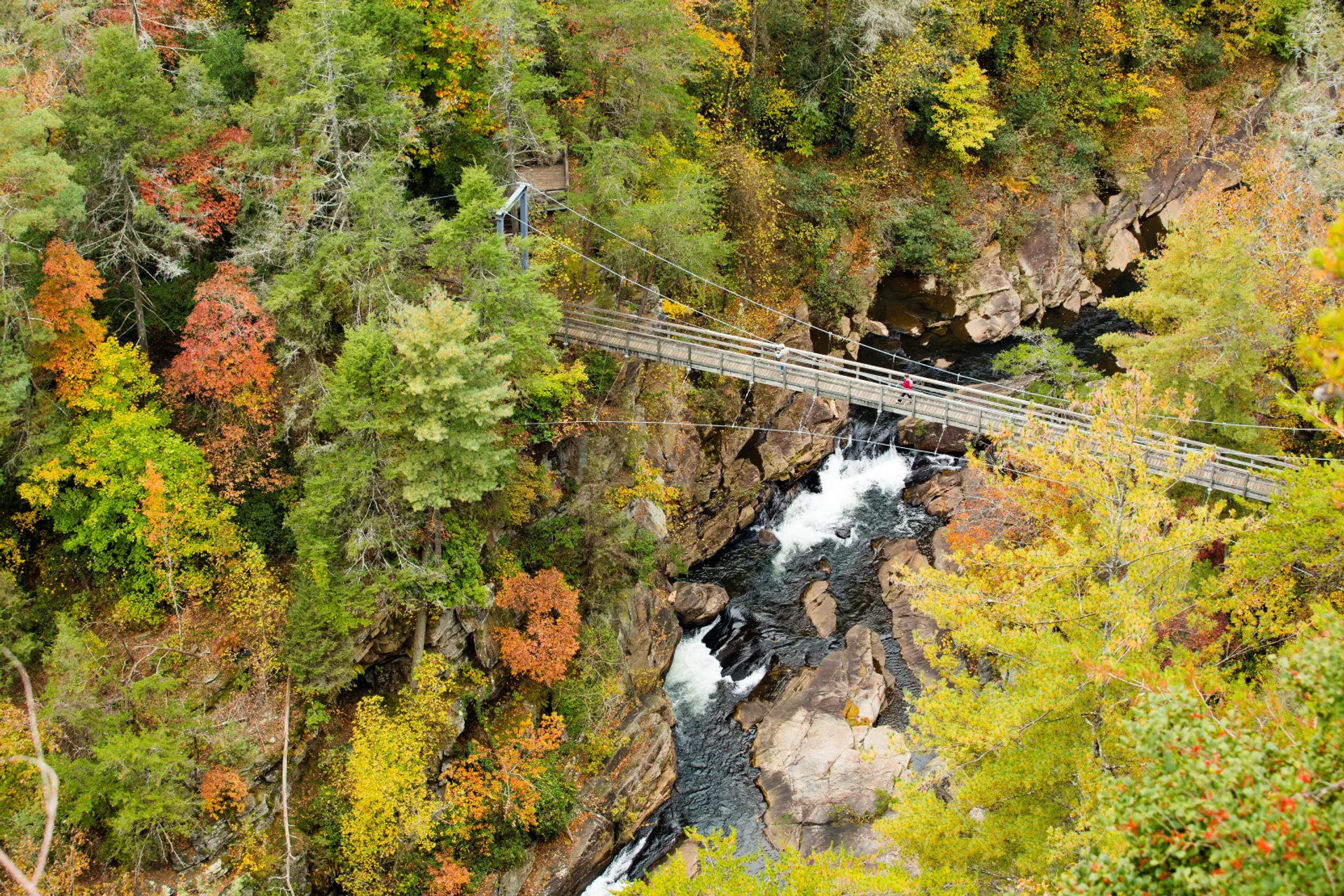 Explore Georgia